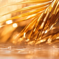 Golden Coco